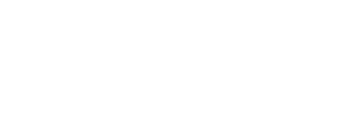 Funky Pelican logo