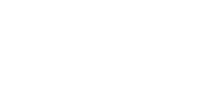 Sonic logo